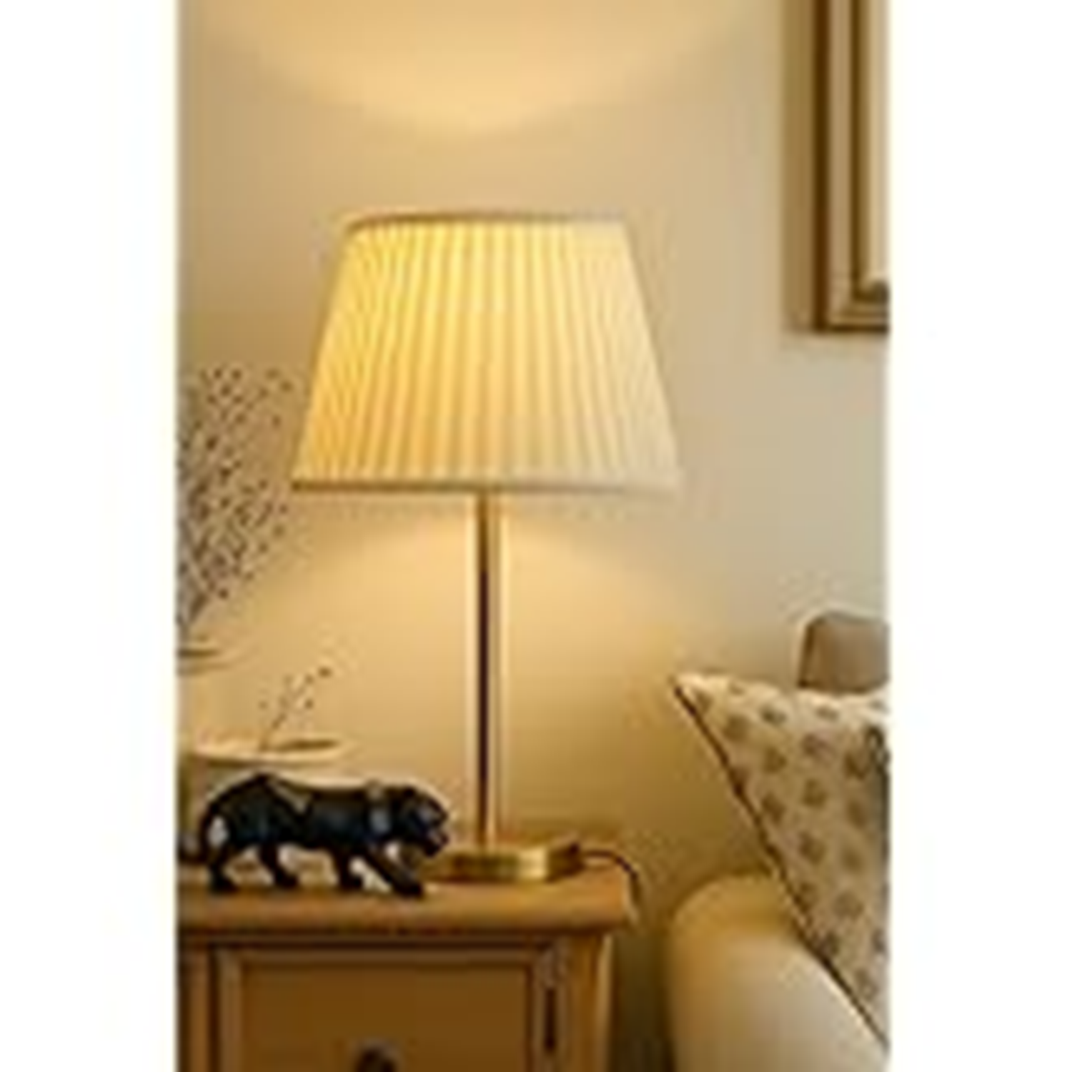 61RzVcv8UNL._AC_UL165_SR165,165_