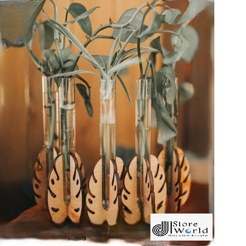 WhatsApp Image 2026-01-02 at 12.55.07 PM (1)